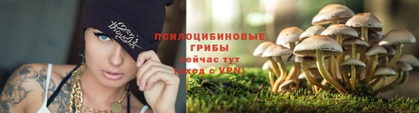 твердый Баксан