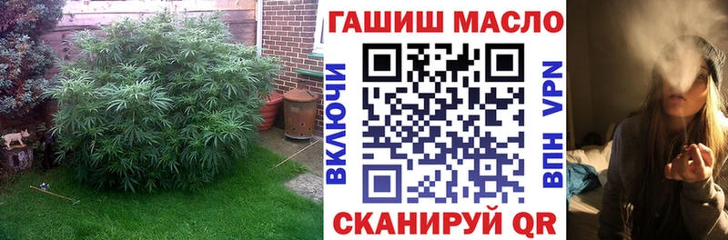 Дистиллят ТГК жижа  это состав  Стрежевой 